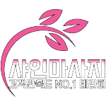 shinemassage-logo
